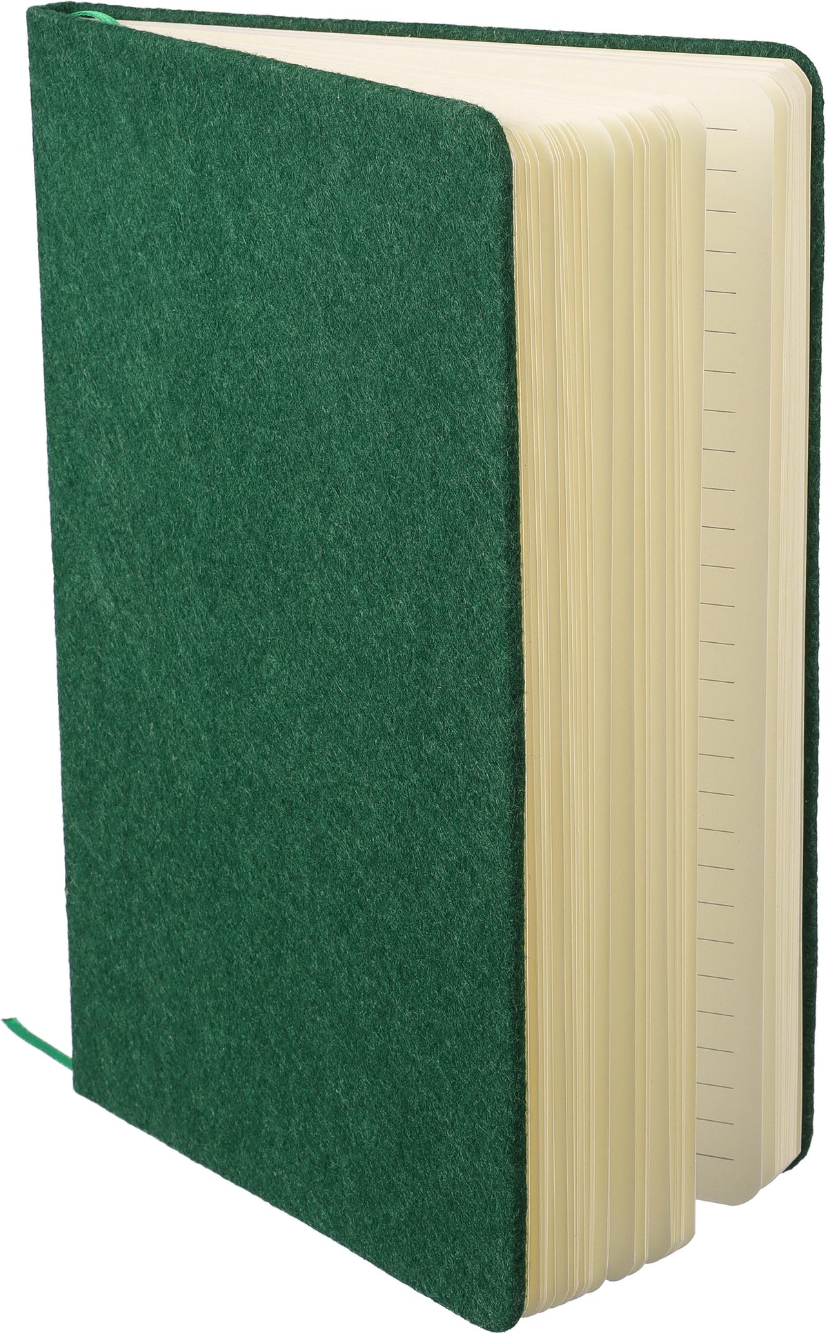 Notizbuch Danio, Filz, A5, Liniert