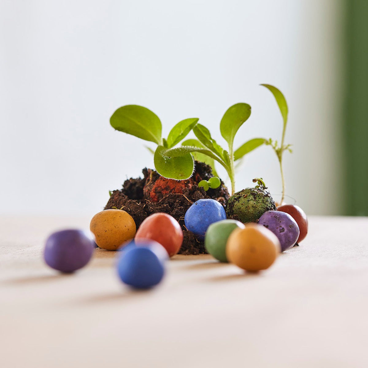 5 Blumenmurmeln im Pergamintütchen mit Logo auf dem Header – Detail