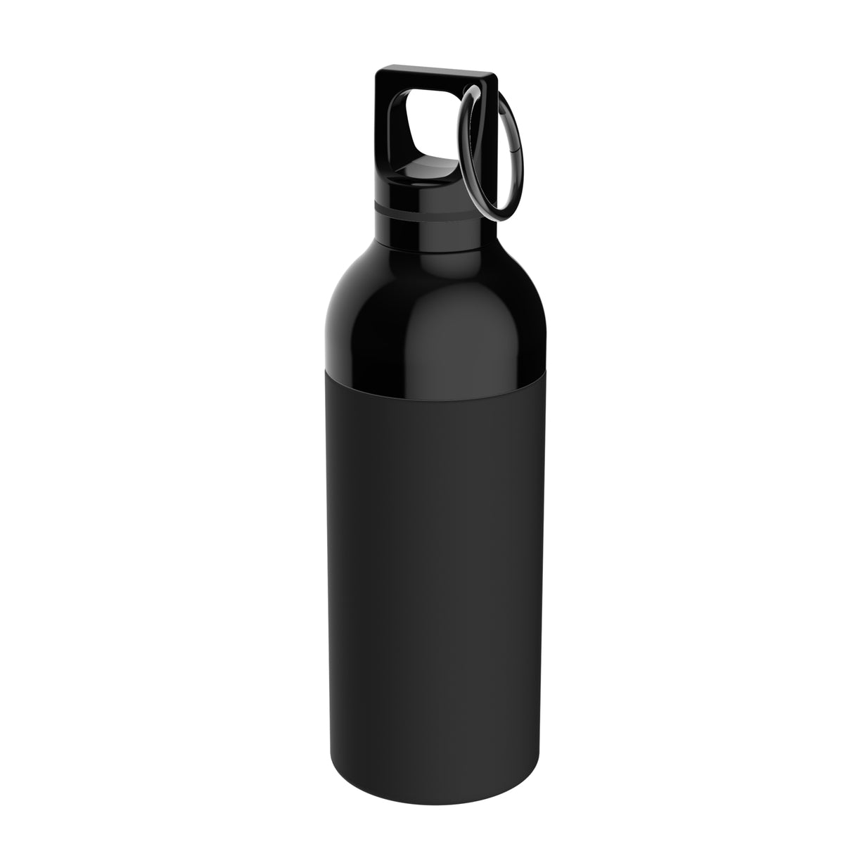 Flasche: schwarz