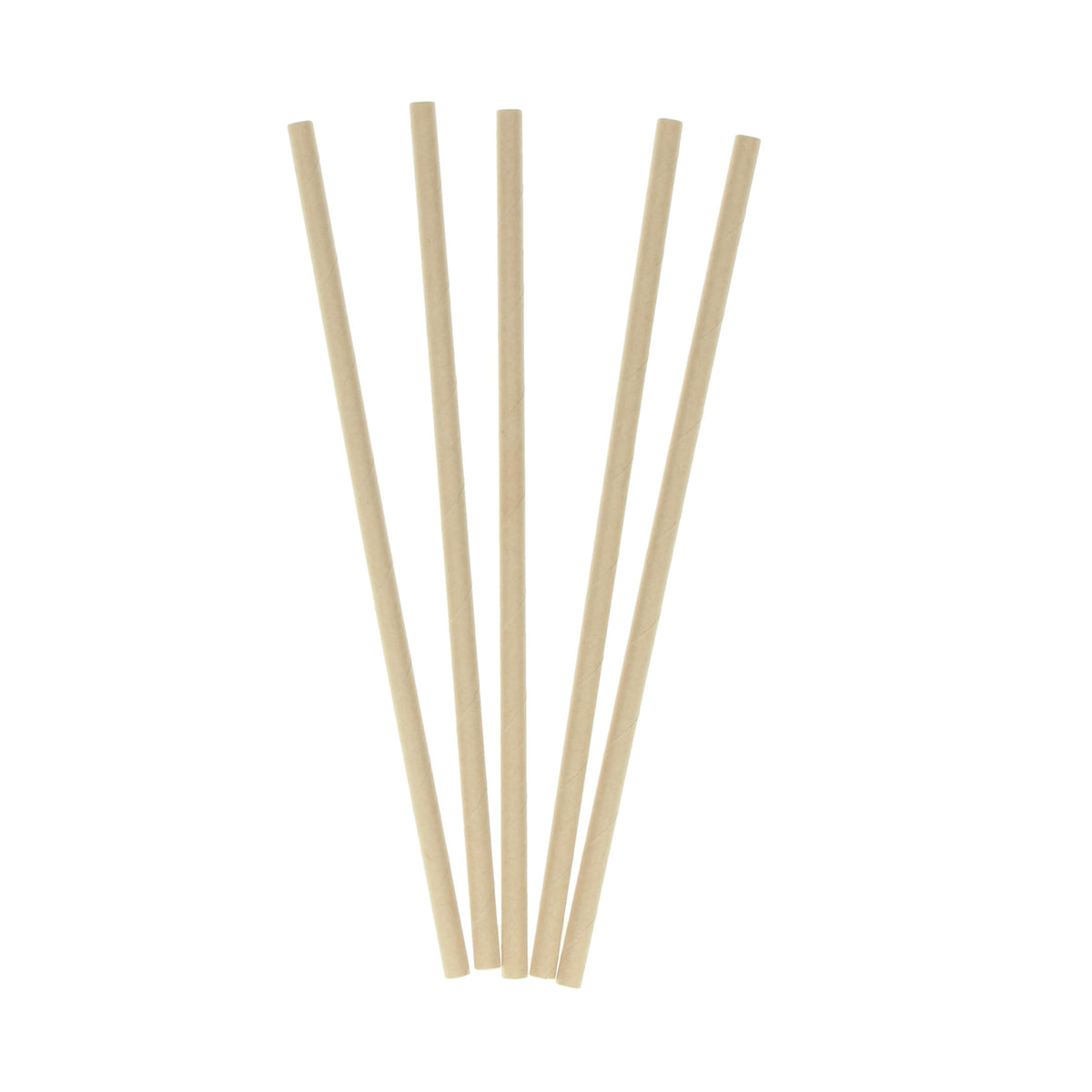 Papierstrohhalm 100er Set
