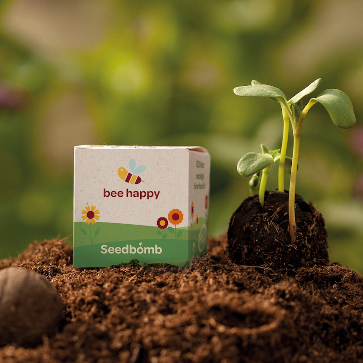 Samenkugel im Pappwürfel mit Logo rundum bedruckt – Ansicht