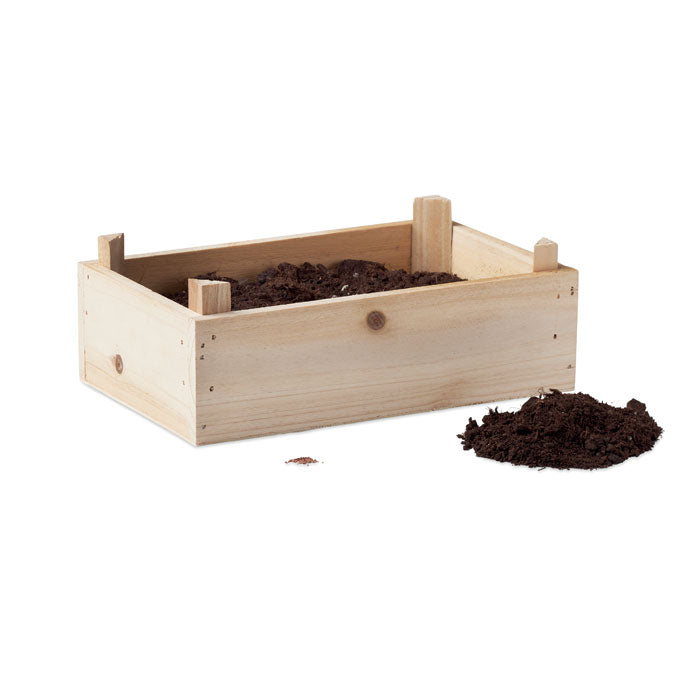 Holz