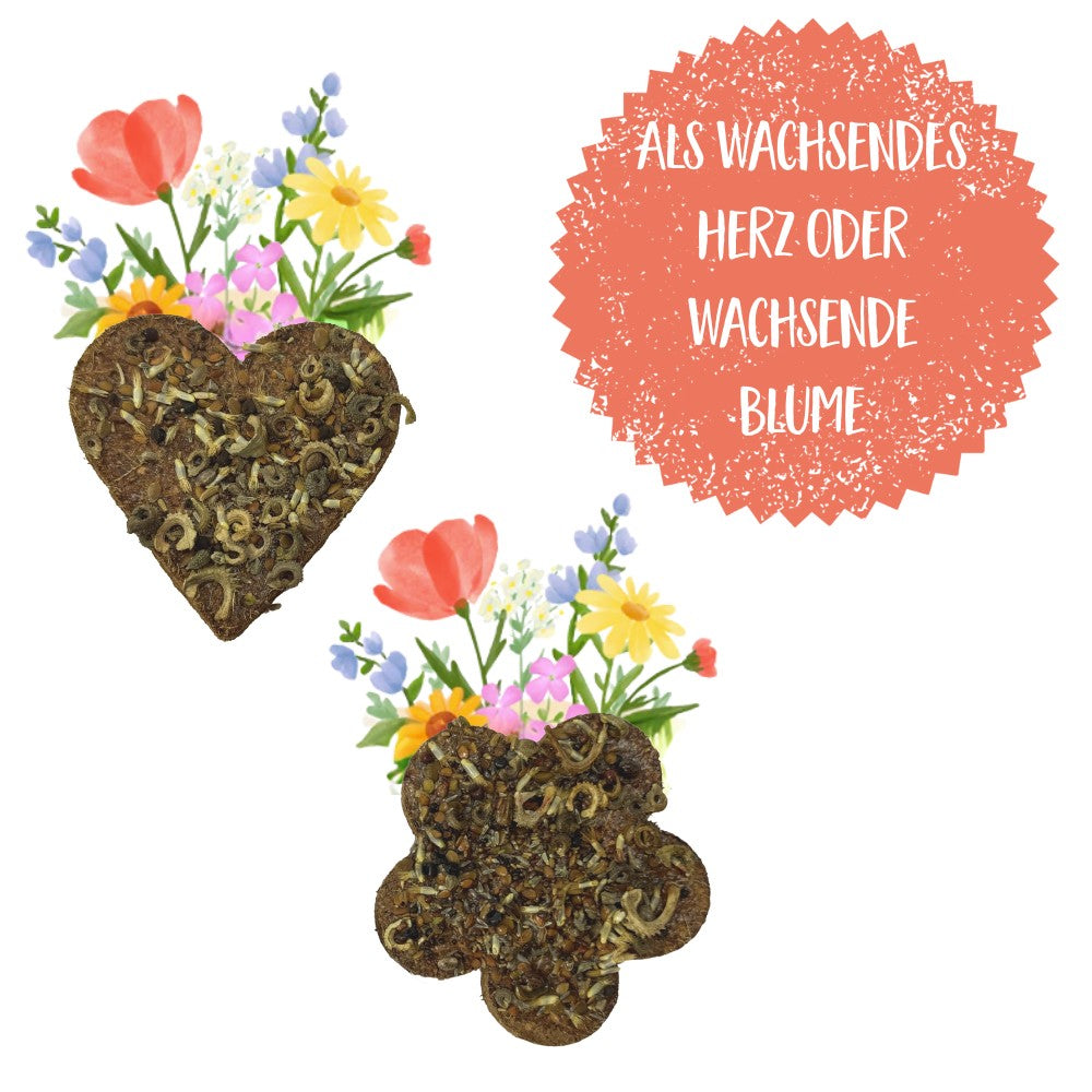 Wachsendes Herz oder Blume mit Logo im Pergamintütchen – Detail
