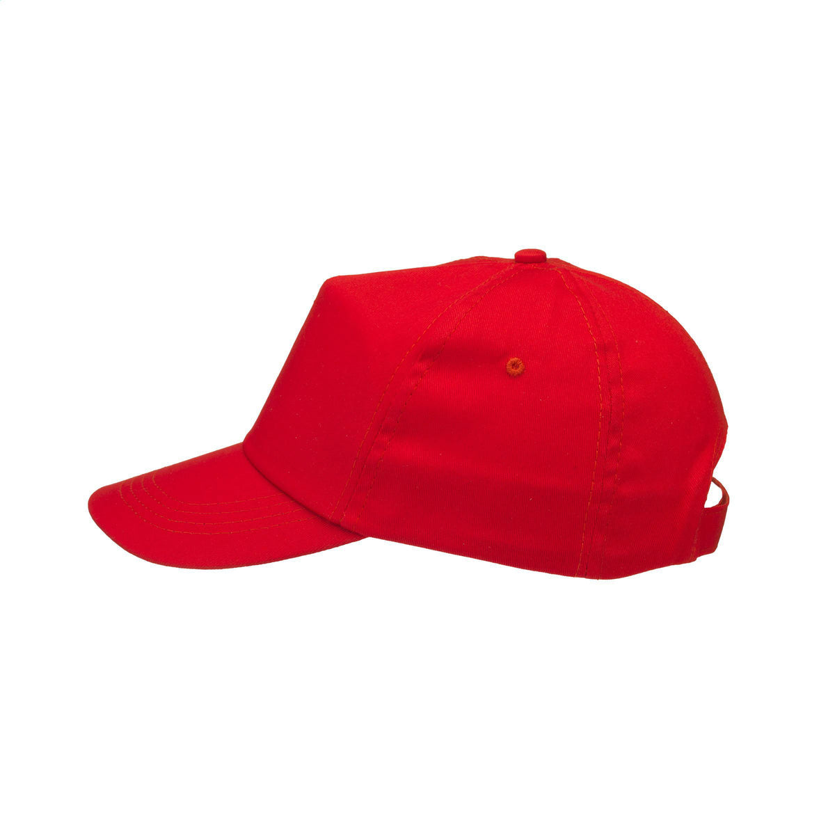 Rot