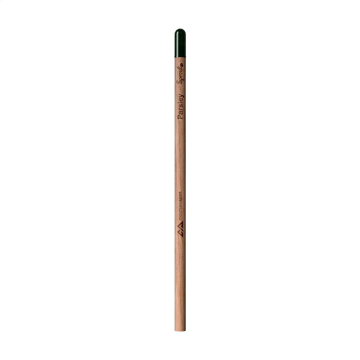 Holz
