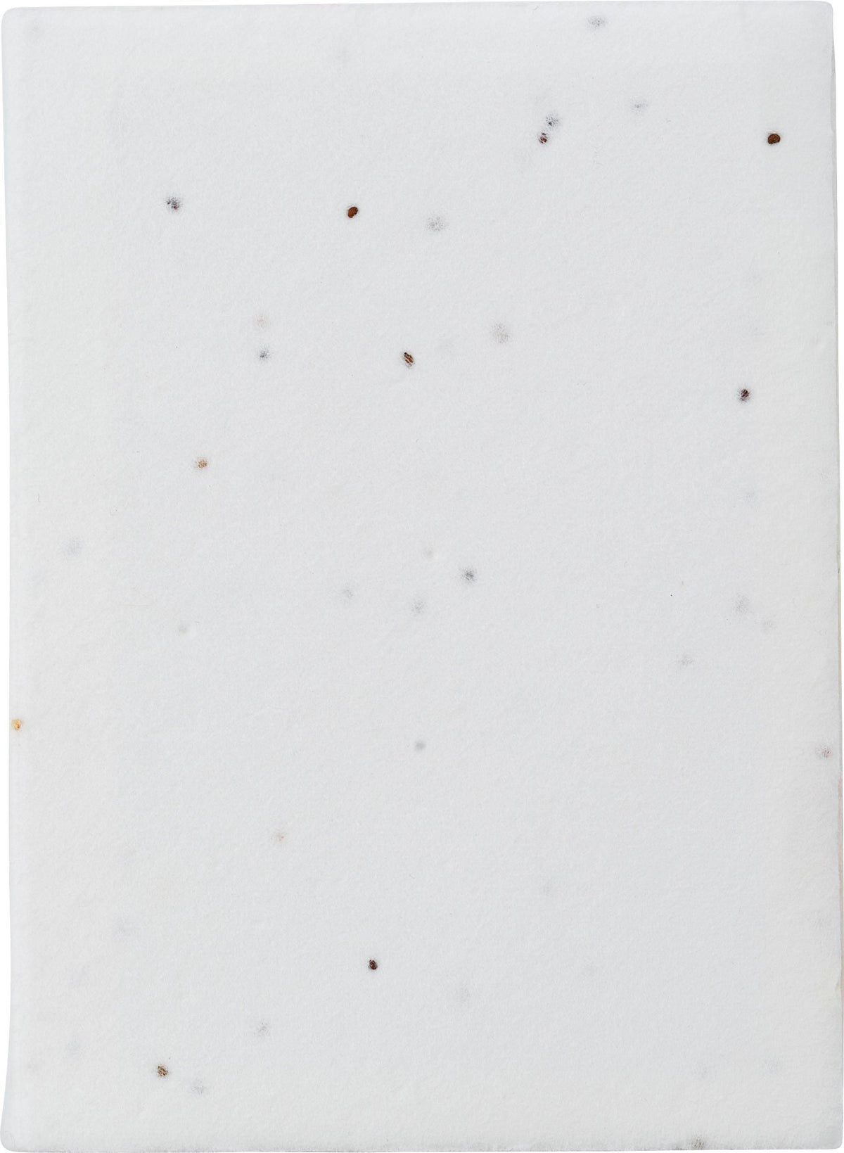 Haftnotizen Patricia, Saatpapier, 6 Stück
