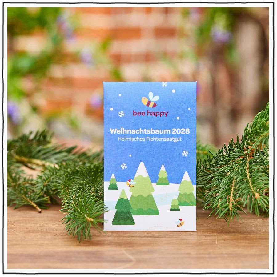 Dein Weihnachtsbaum 2028, wenn du das Fichtensaatgut dieses Jahr einpflanzt
