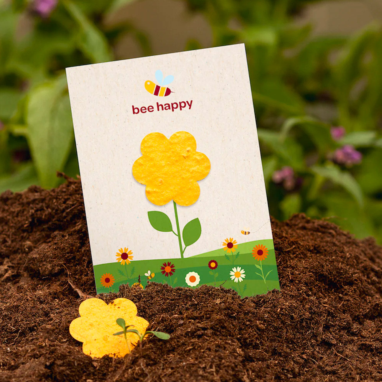 saatgut papier einpflanzen Samenpapier Postkarte mit deinem Design bedruckt – VANILLA & PEPPER