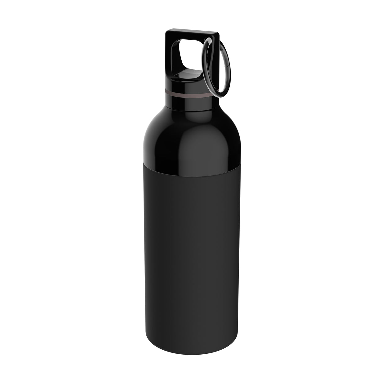 Flasche: schwarz, Ring: braun