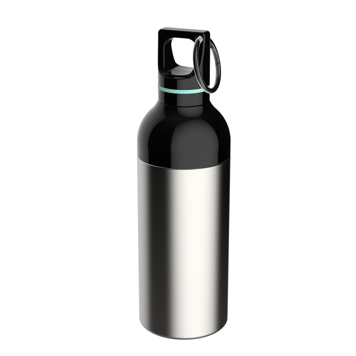 Flasche: silber, Ring: mint
