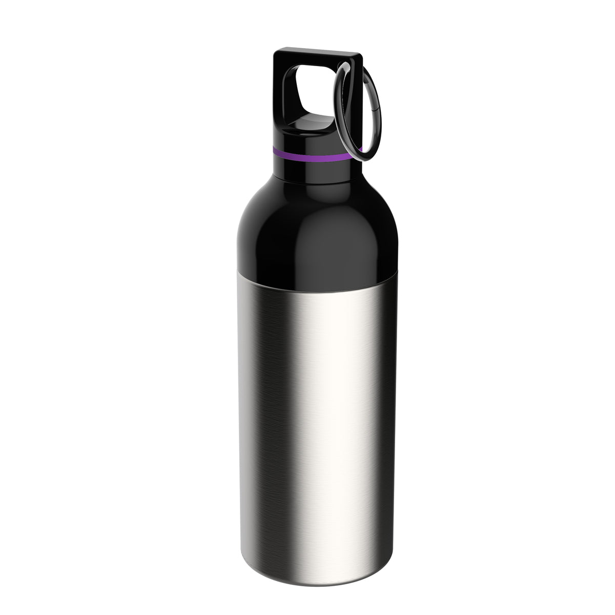 Flasche: silber, Ring: lila