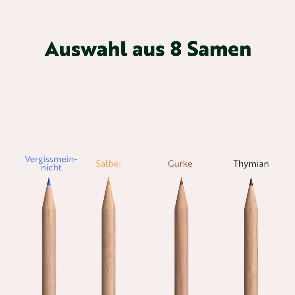 Auswahl aus 8 Samen