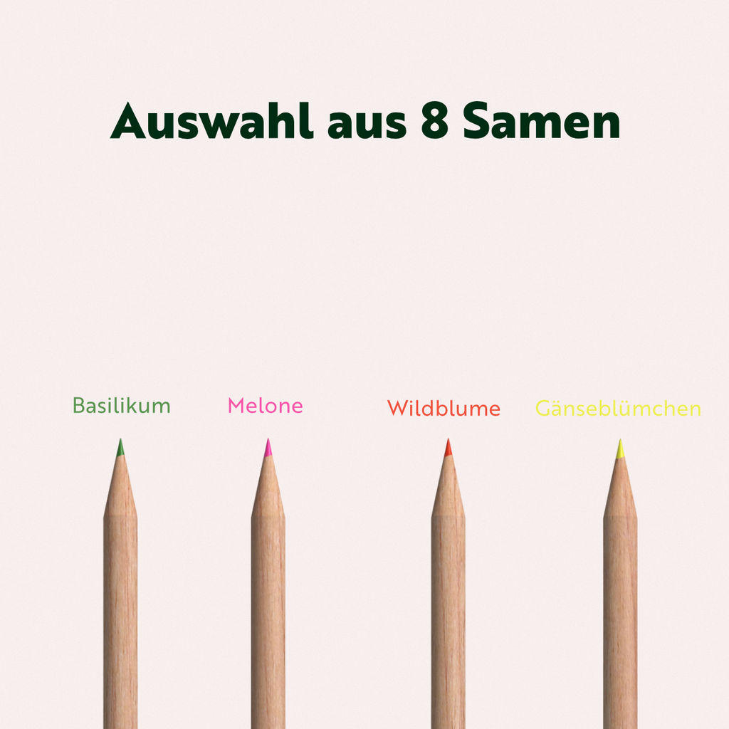 Auswahl aus 8 Samen