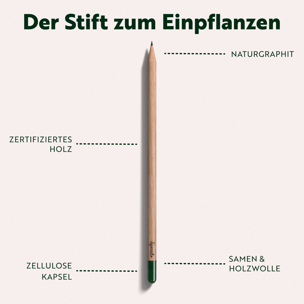 Anleitung zum Einpflanzen vom Sprout Buntstift