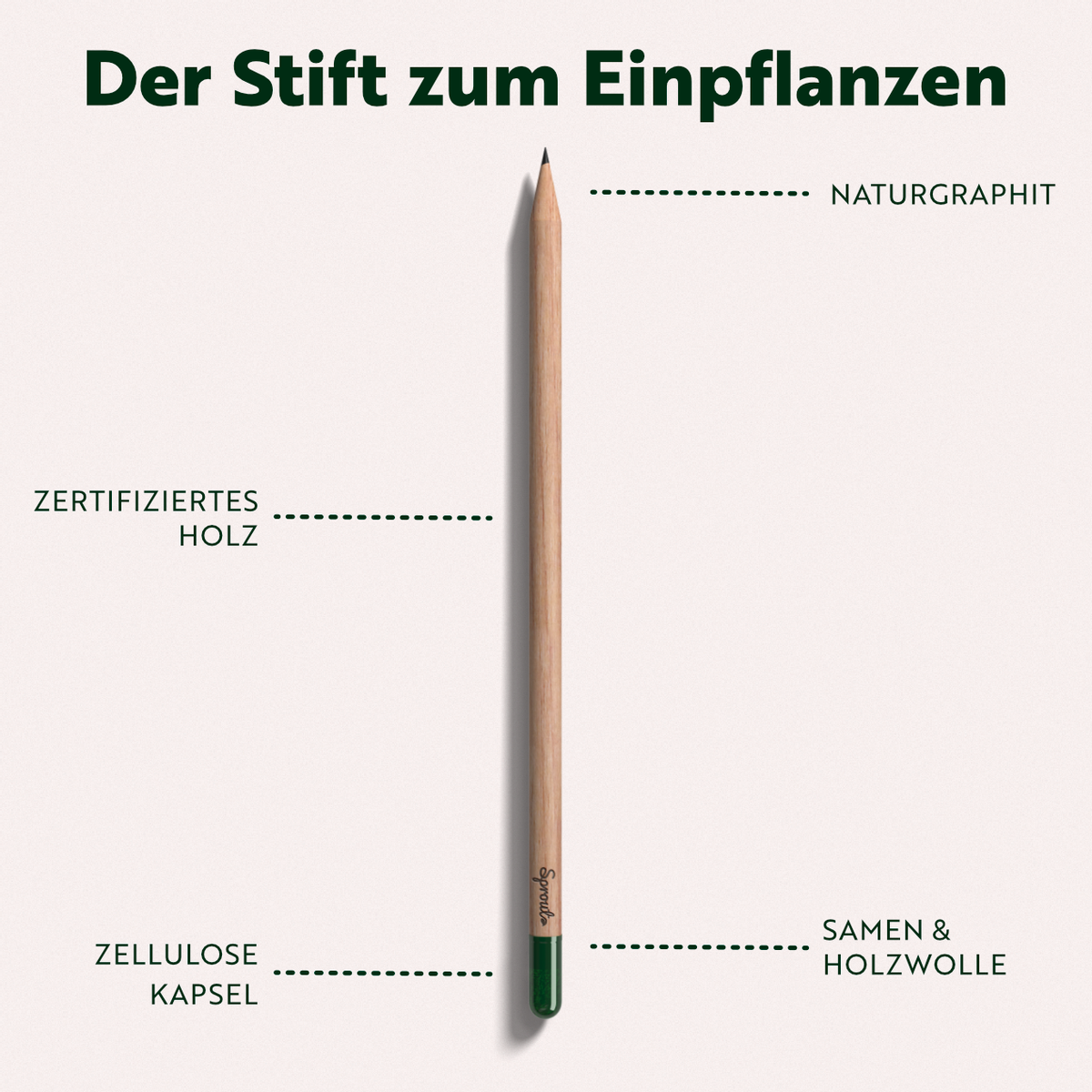 Sprout 1er Bleistift mit Samen in Einsteckhülle (Individualisiert)