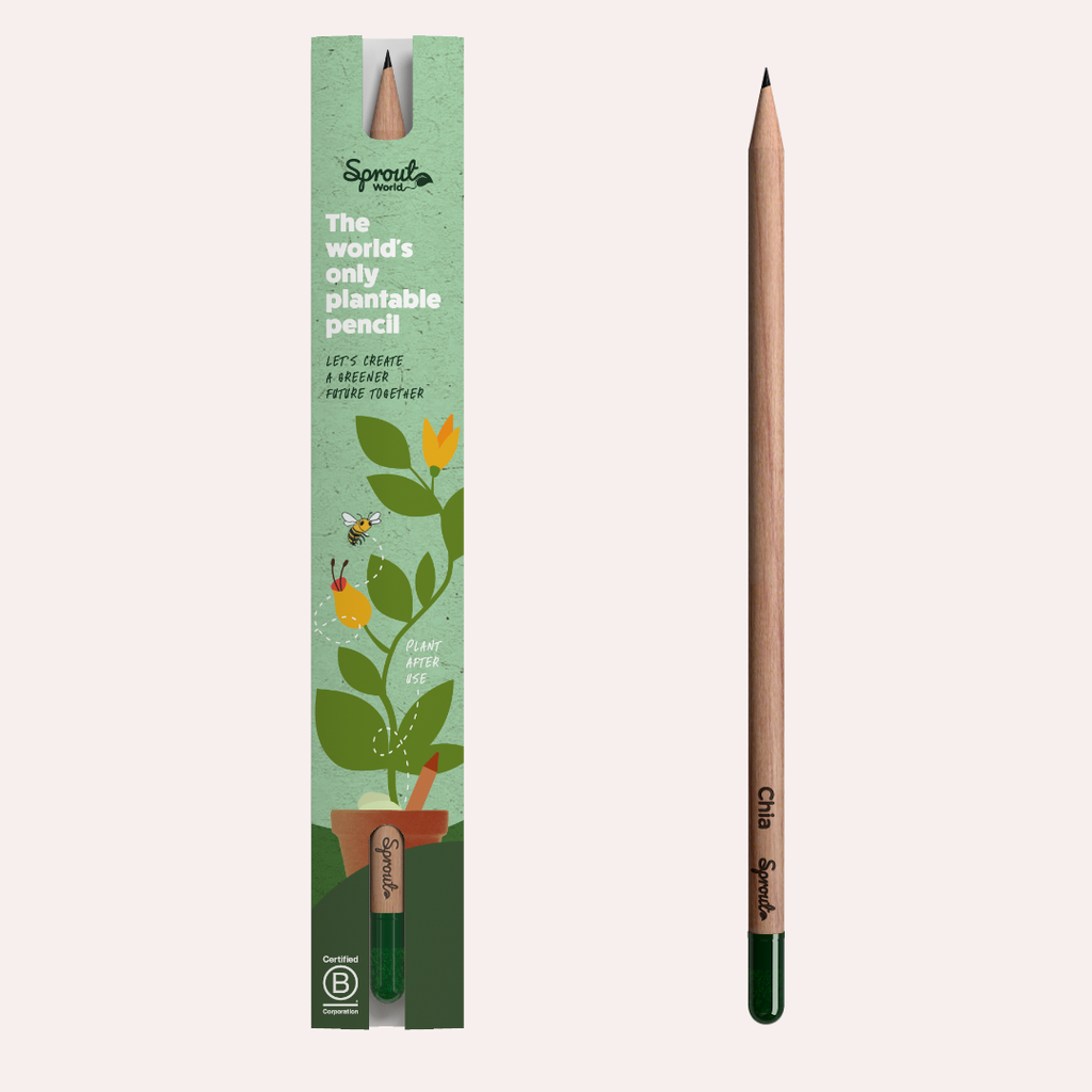 Sprout Buntstift zum Einpflanzen