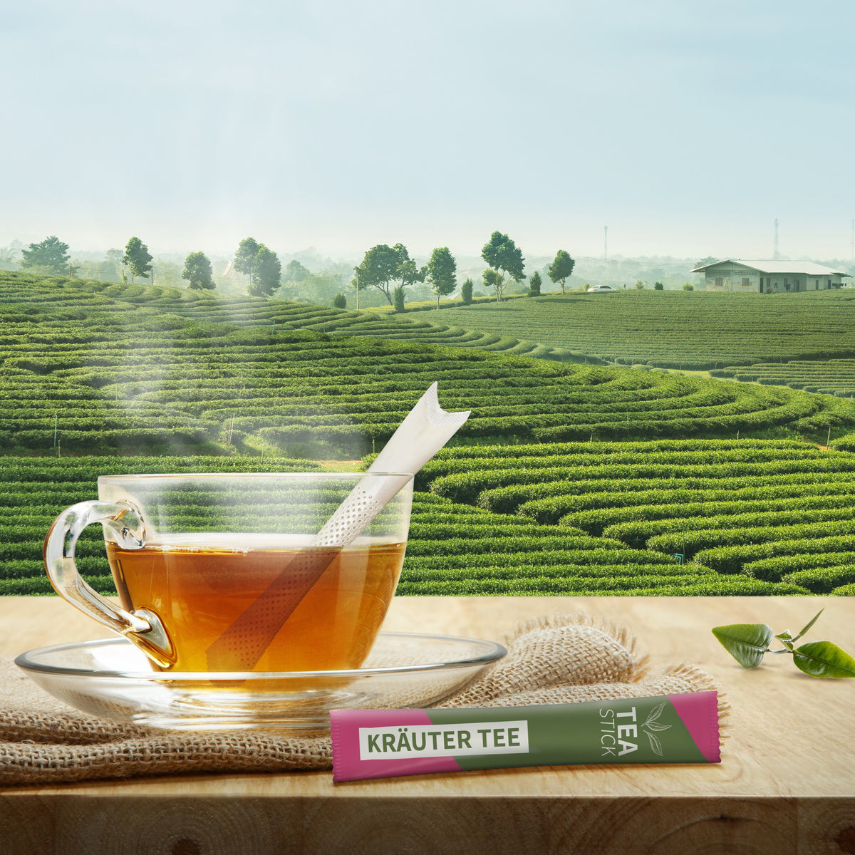 Bio Teestick in 10 Sorten mit bedruckter Aromaverpackung