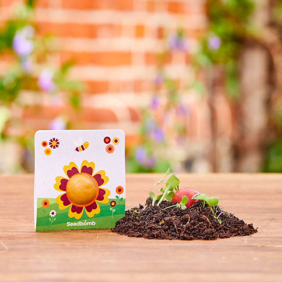 Blumenmurmel mit Wildblumensamen