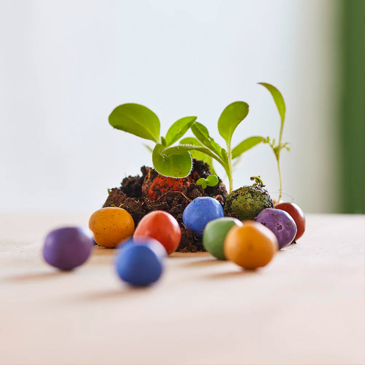 12 bunte Blumenmurmeln aus Erde,Ton und Saatgut Give Awy