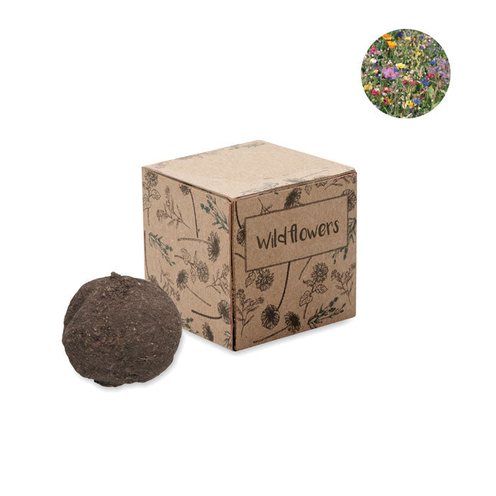 Bombi Saat Set Wildblumen