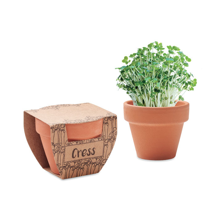 Cress Pot Terrakotta Topf Kresse