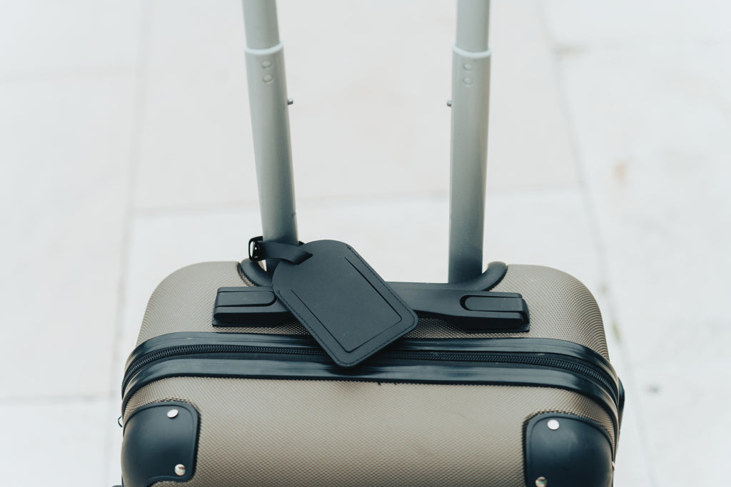 Globefind Dual RCS Gepäckanhänger mit weltweiter Ortung