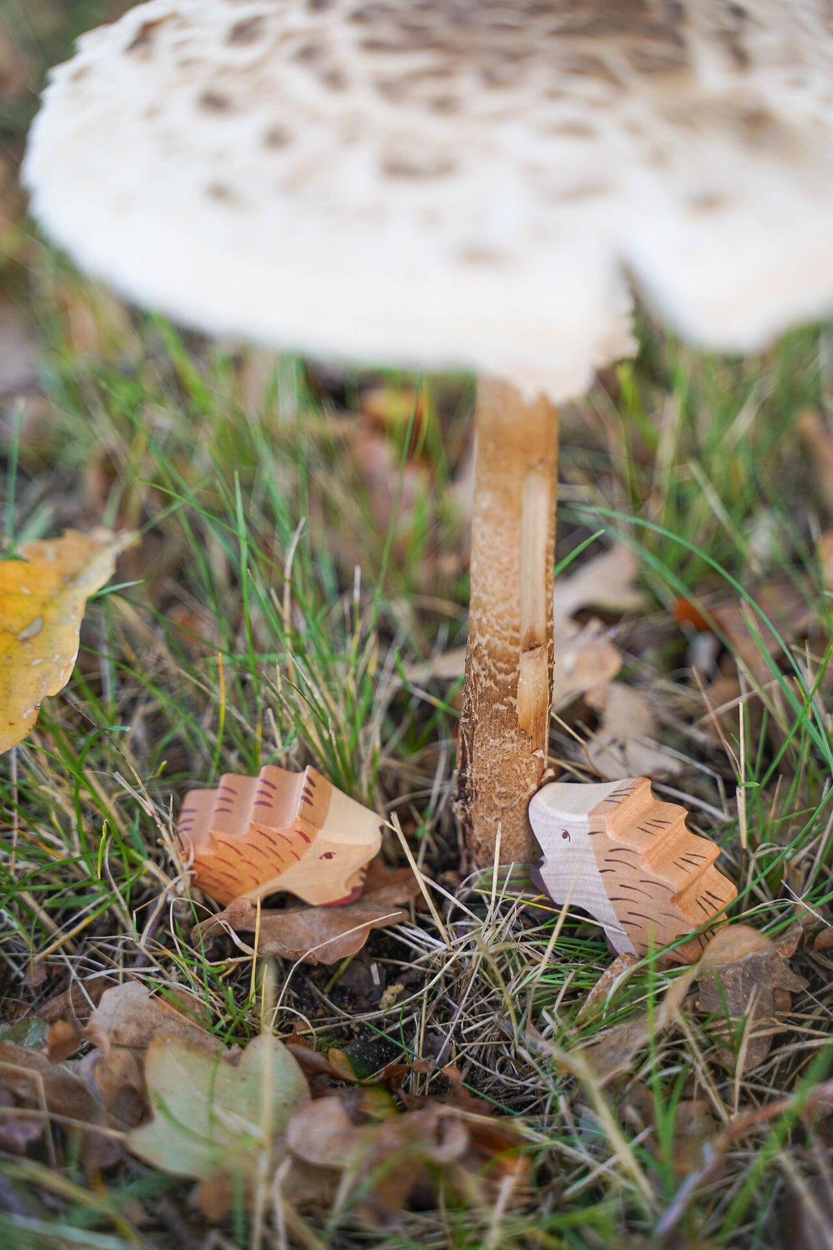 Holzfigur Igel mit braunem Stachelrücken von HOLZTIGER – Gesamtansicht