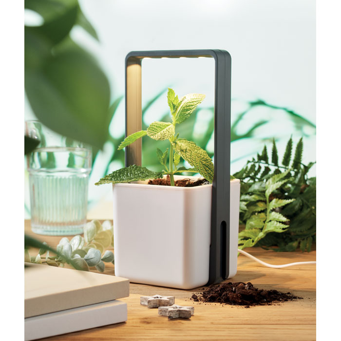 Weiß
