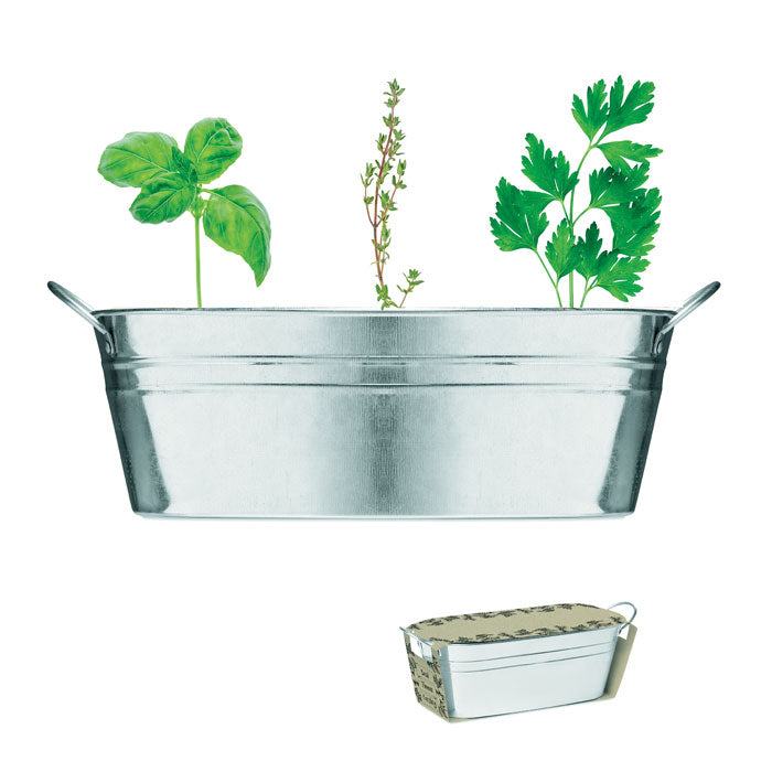 Mix Seeds Zink Pflanzkübel
