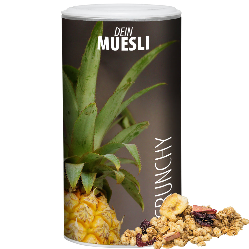 Müslimischung in der Pappdose Medium – Müsli Knusper Früchte, ca. 150 g