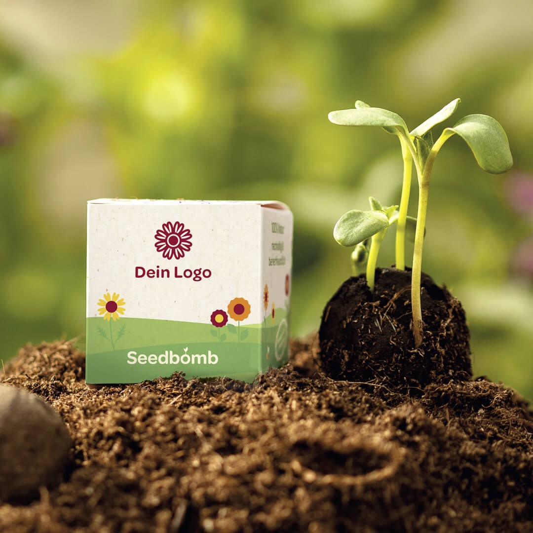 Samenkugel im Pappwürfel mit Logo rundum bedruckt – Detail