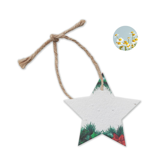 Starseed Weihnachtsschmuck Samenpapier