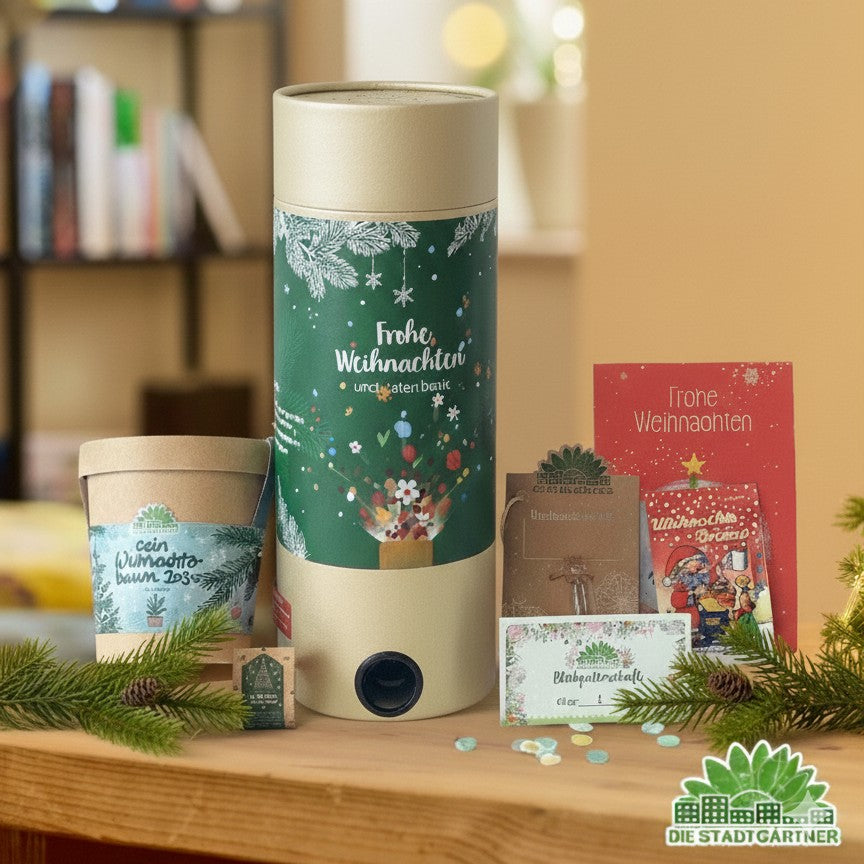 Tischbombe Weihnachten mit Praline, Anzuchtset und Logo – Detail