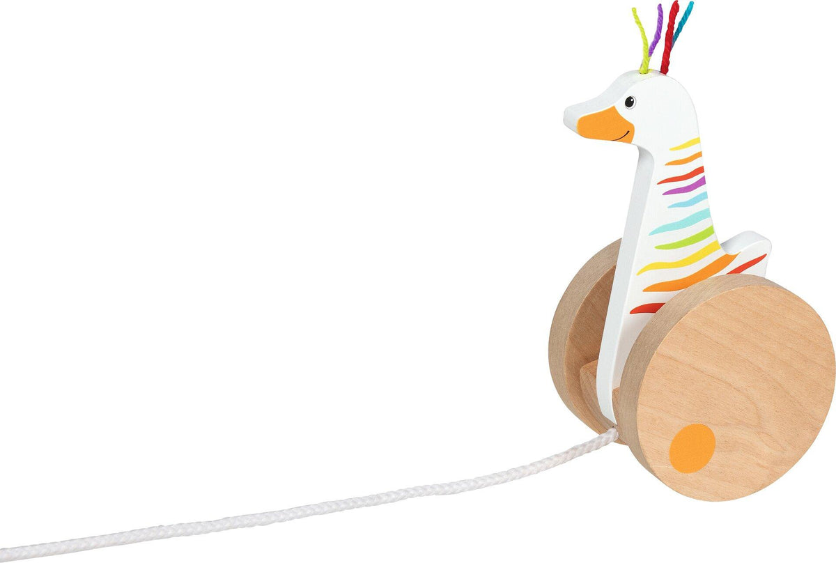 Ziehtier Renngans Tessa mit Regenbogenstreifen