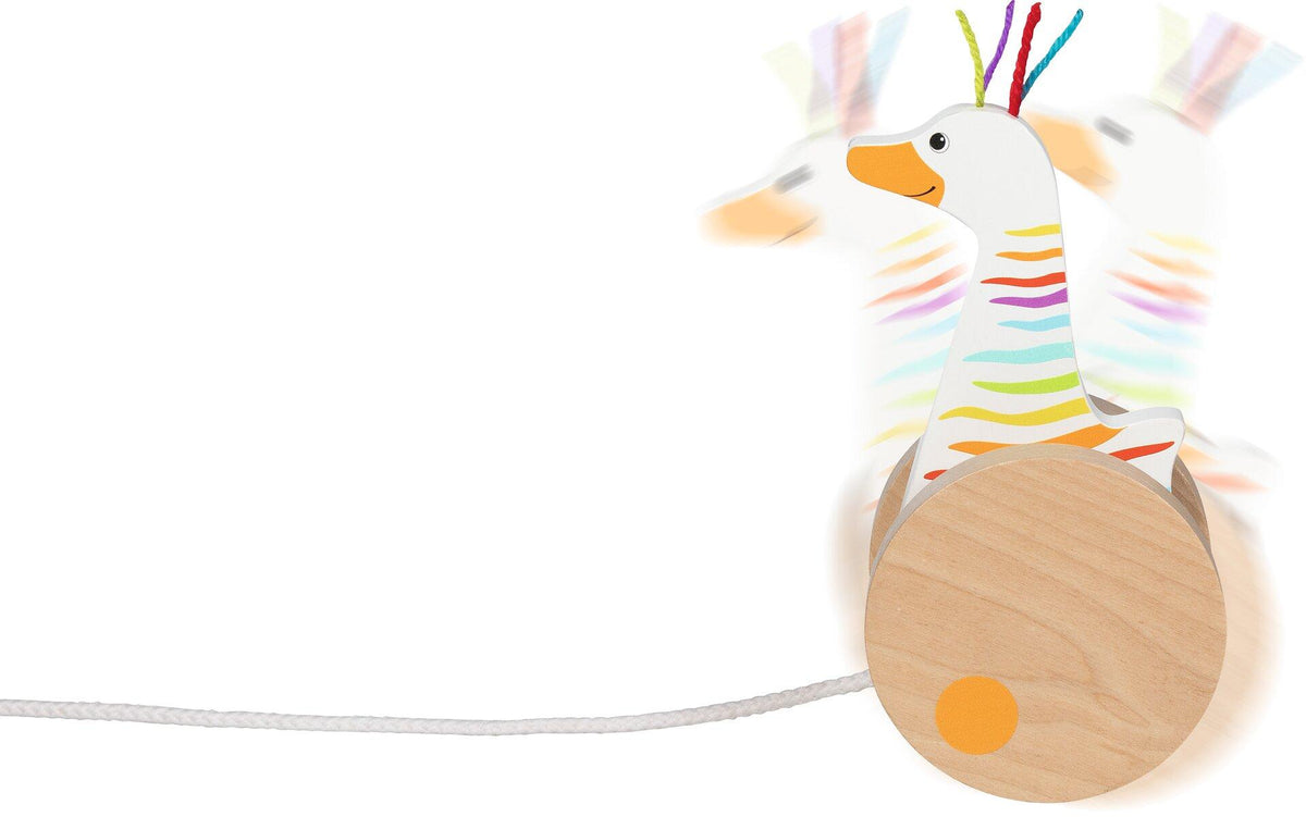 Ziehtier Renngans Tessa mit Regenbogenstreifen – Nahaufnahme